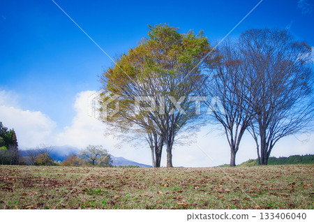 Beautiful autumn leaves and the scenery of the Nikko mountain range 133406040