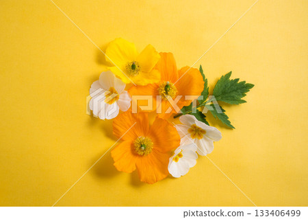 Spring garden flowers, yellow, orange flower composition, copy space Spring garden flowers, yellow, orange flower composition, copy space 133406499