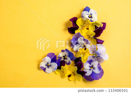 Spring garden flowers, purple, yellow, orange flower composition, copy space Spring garden flowers, purple, yellow, orange flower composition, copy space 133406501