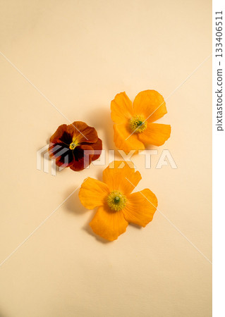 Set of spring garden flowers, yellow, orange flower composition Set of spring garden flowers, yellow, orange flower composition 133406511