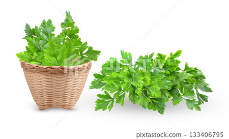 Parsley isolated on white background ( image from camera ) Parsley isolated on white background ( image from camera ) 133406795