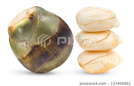 Asian Palmyra palm isolated on white background ( image from camera ) 133406862