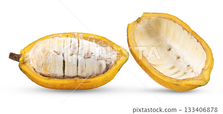 Cocoa fruit isolated on white background ( image from camera ) Cocoa fruit isolated on white background ( image from camera ) 133406878