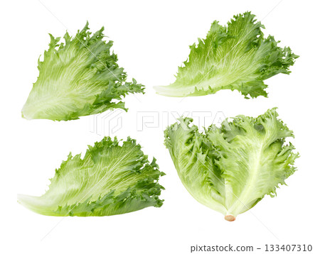 fresh Frillice Iceberg Lettuce on white background fresh Frillice Iceberg Lettuce on white background 133407310