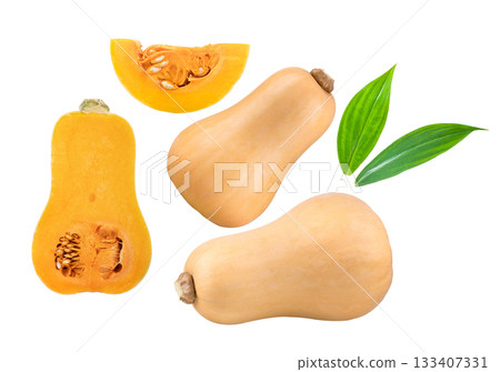 butternut squash slice isolated on white background butternut squash slice isolated on white background 133407331