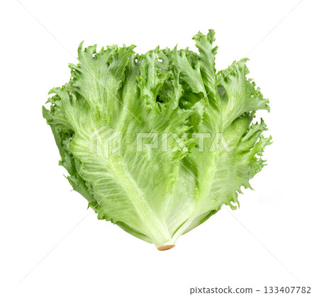 fresh Frillice Iceberg Lettuce on white background fresh Frillice Iceberg Lettuce on white background 133407782