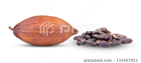 Cocoa isolated on white background Cocoa isolated on white background 133407953