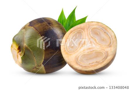 Asian Palmyra palm isolated on white Asian Palmyra palm isolated on white 133408048