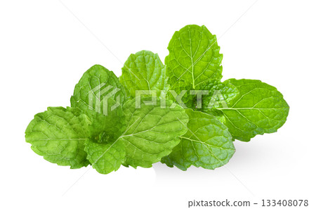 mint isolated on white background 133408078