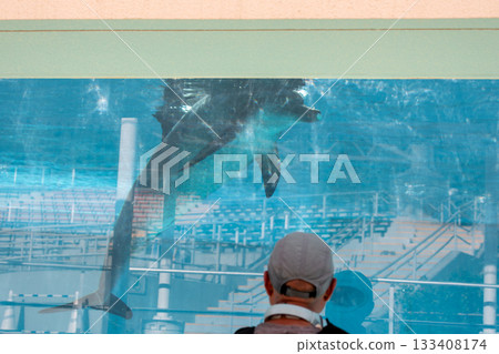 海豚在水族館中與人類進行友善且親密的互動交流 海豚在水族館中與人類進行友善且親密的互動交流 133408174