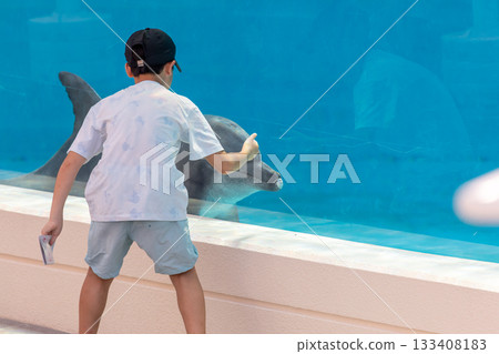 海豚在水族館中與人類進行友善且親密的互動交流 海豚在水族館中與人類進行友善且親密的互動交流 133408183