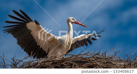 Majestic Stork with Wings Raised in Nest Under Clear Blue Sky - Generative Ai 133408617