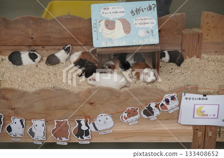 日本橫濱動物園 日本橫濱動物園 133408652