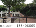 Yokohama Zoo in Japan 133408665