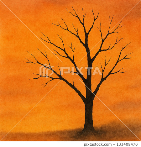 Dead tree series: Dead tree silhouette illuminated by the sunset 133409470