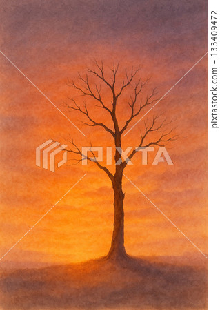 Dead Tree Series: A serene scene of dead trees enveloped in the setting sun 133409472