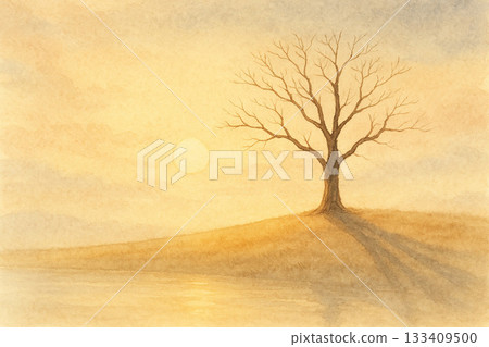 Dead tree series: Japanese-style background of dead trees on a hill bathed in the morning sun 133409500