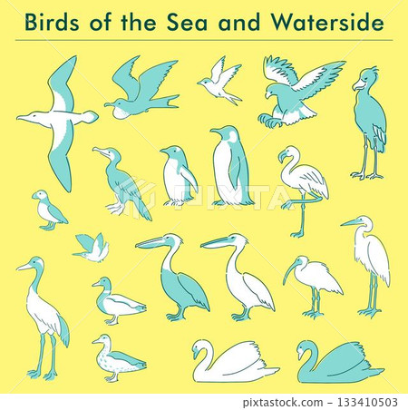Hand-drawn illustration set of sea and water birds 133410503