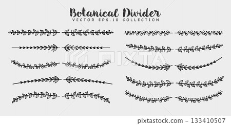 Hand Drawn Botanical Leaves Dividers Decorative Collection. 133410507