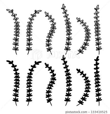 Lavender flower line art doodle and silhouette collection decoration element illustration Lavender flower line art doodle and silhouette collection decoration element illustration 133410525