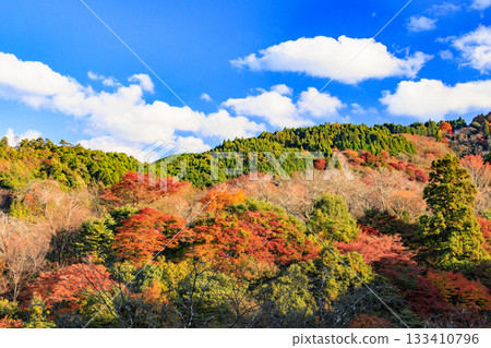 紅葉盛開的世界遺產吉野山 133410796