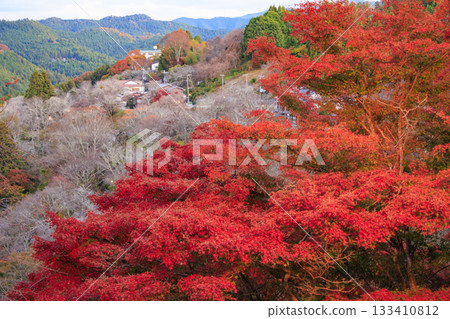 紅葉盛開的世界遺產吉野山 133410812