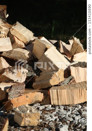 Vertical photography of firewoods. Chopped firewood on the ground. 133410890