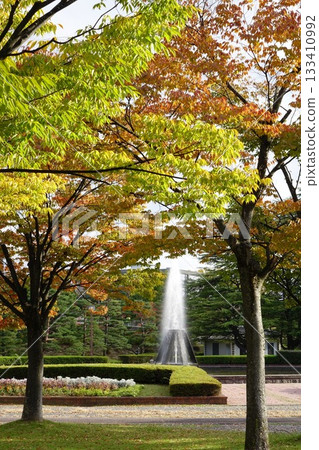 Autumn park and fountain 133410992