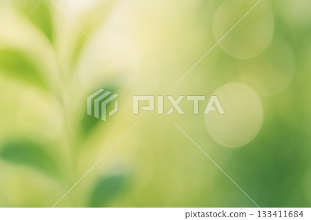 Green abstract bokeh background with soft sunlight filtering through the trees Green abstract bokeh background with soft sunlight filtering through the trees 133411684
