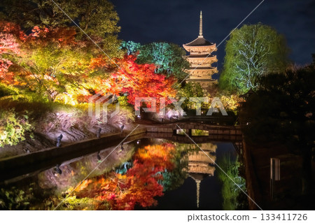 Toji five story pagoda light up with autumn maple leaf colors at night, Kyoto Toji five story pagoda light up with autumn maple leaf colors at night, Kyoto 133411726