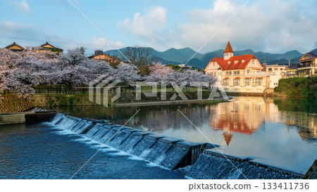 Siebold no Yu touching sunrise and sakura blossom along river, Saga Siebold no Yu touching sunrise and sakura blossom along river, Saga 133411736