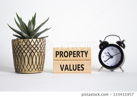Property Values symbol. Wooden blocks with words Property Values. Beautiful white background with alarm clock and succulent plant. Business and Property Values concept. Copy space. Property Values symbol. Wooden blocks with words Property Values. Beautiful white background with alarm clock and succulent plant. Business and Property Values concept. Copy space. 133411957