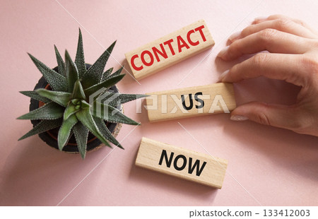 Contact us now symbol. Wooden blocks with words Contact us now. Beautiful pink background with succulent plant. Businessman hand. Business and Contact us now concept. Copy space. 133412003