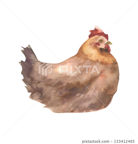 Orange and brown hen watercolor illustration. Realistic isolated home bird, farm rural life animal clipart for organic product label, logo, packing design 133412485