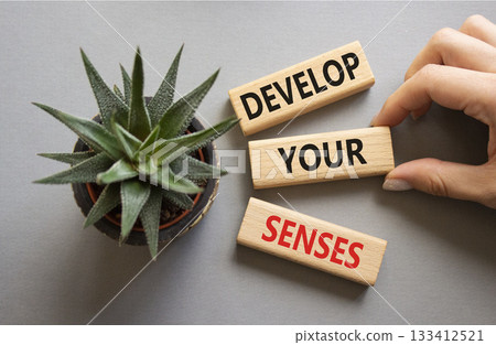 Sense symbol. Wooden blocks with words Develop your Senses. Beautiful grey background with succulent plant. Businessman hand. Business and Develop your Senses concept. Copy space. Sense symbol. Wooden blocks with words Develop your Senses. Beautiful grey background with succulent plant. Businessman hand. Business and Develop your Senses concept. Copy space. 133412521
