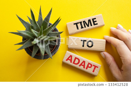 Time to Adapt. Wooden blocks with words Time to Adapt. Beautiful yellow background. Businessman hand. Business and Manage and Time to Adapt concept. Copy space. 133412528