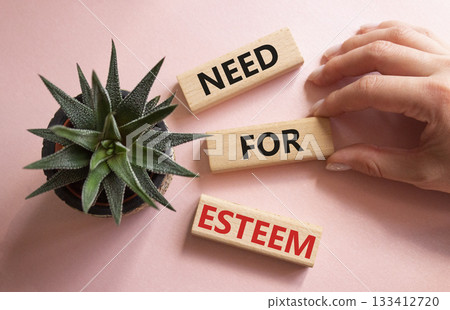 Need for Esteem symbol. Concept words Need for Esteem on wooden blocks. Beautiful pink background with succulent plant. Businessman hand. Business and Need for Esteem concept. Copy space. Need for Esteem symbol. Concept words Need for Esteem on wooden blocks. Beautiful pink background with succulent plant. Businessman hand. Business and Need for Esteem concept. Copy space. 133412720