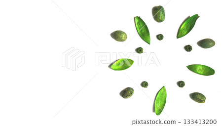 The decor consists of green leaves and green nuts on a white background .A place to copy The decor consists of green leaves and green nuts on a white background .A place to copy 133413200
