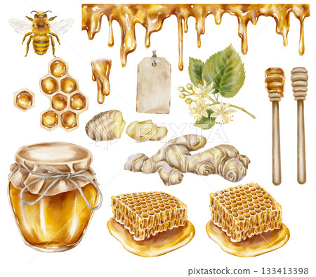 Watercolor set with honey jar honeycombs bee dripping honey ginger root and linden blossom. Ideal for tea packaging, healing herbal products, organic cosmetics and wellness branding. 133413398