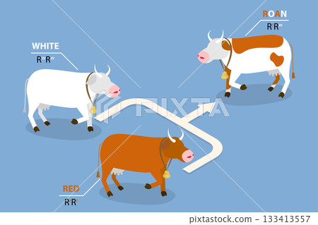 3D Isometric Flat Vector Illustration of Codominance, Diagram Outlining Inheritance Of Heterozygote Expression With Co-Dominant Alleles 3D Isometric Flat Vector Illustration of Codominance, Diagram Outlining Inheritance Of Heterozygote Expression With Co-Dominant Alleles 133413557