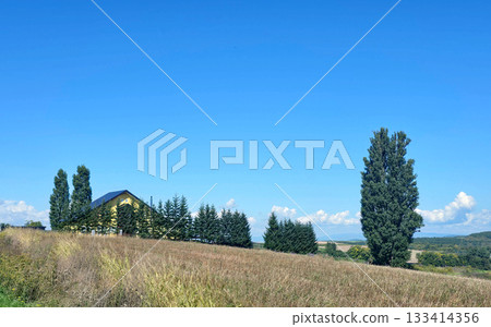 Scenic view of a yellow building on a hill with trees under a blue sky 133414356