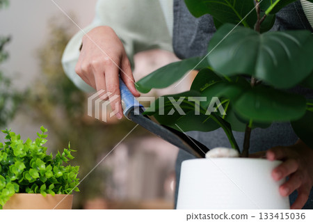 Indoor Gardening. Woman using a trowel to care for a potted plant. Indoor Gardening. Woman using a trowel to care for a potted plant. 133415036