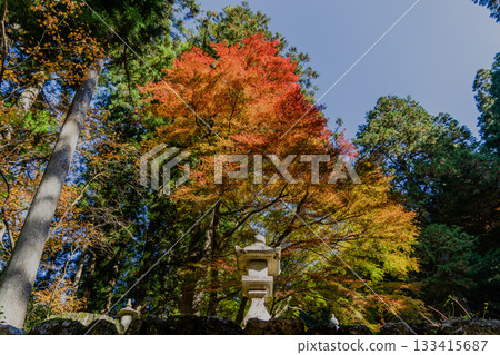 旅海山橫造寺院內的秋景 旅海山橫造寺院內的秋景 133415687
