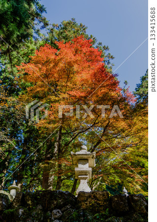 旅海山橫造寺院內的秋景 133415688