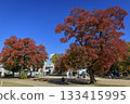 Nagoya City, autumn playground at Yoneno Park 133415995