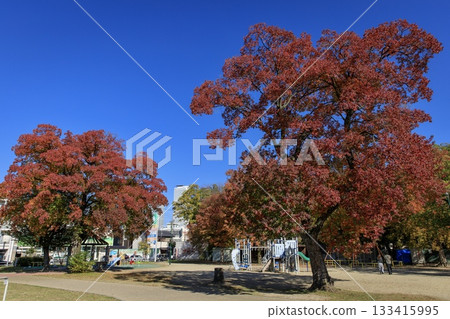 名古屋市,米野公園的秋季遊樂場 名古屋市,米野公園的秋季遊樂場 133415995
