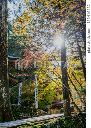 橫造寺庭院的秋景 橫造寺庭院的秋景 133416232