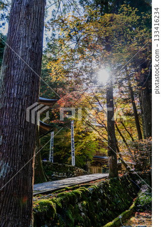 Autumn scenery of Yokozoji Temple grounds Autumn scenery of Yokozoji Temple grounds 133416234