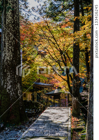 旅海山橫造寺院內的秋景 133416245