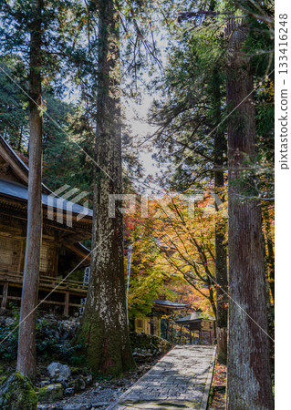 旅海山橫造寺院內的秋景 旅海山橫造寺院內的秋景 133416248